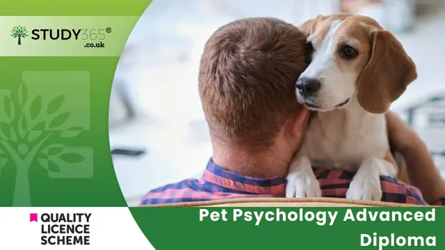 Pet Psychology Advanced Diploma