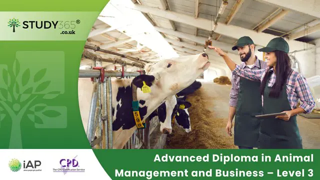Advanced Diploma in Animal Management and Business – Level 3 Certification