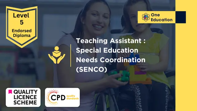 Teaching Assistant : Special Education Needs Coordination (SENCO)