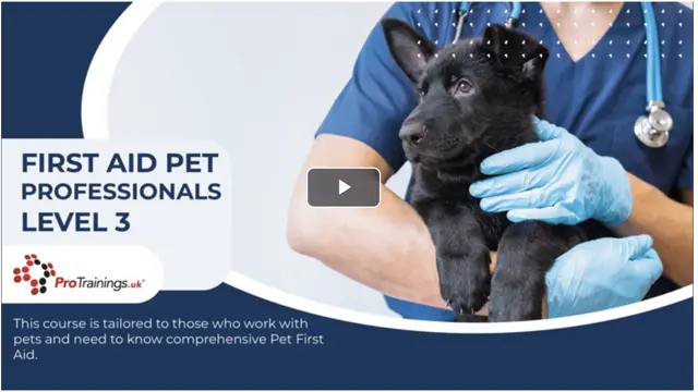 First Aid for Pet Professionals Level 3 (VTQ)-CPD Certified-Ideal for any pet professional