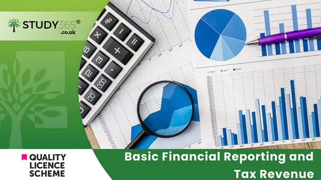 Basic Financial Reporting and Tax Revenue 