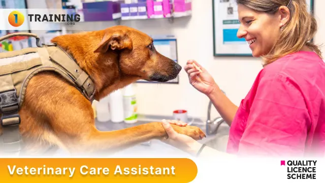 Veterinary Care Assistant 