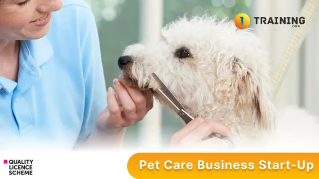 Pet Care Business Start-Up 