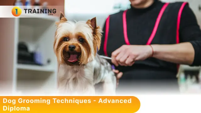 Dog Grooming Techniques - Advanced Diploma