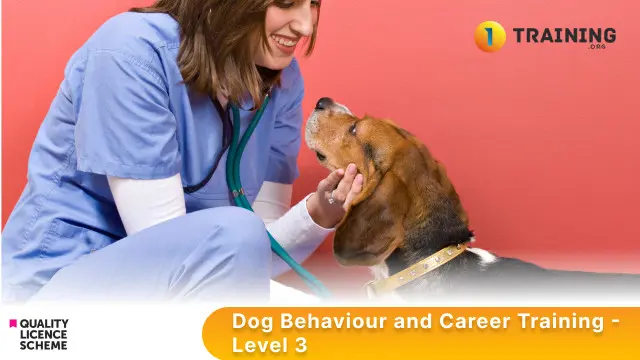 Dog Behaviour and Career Training - Level 3
