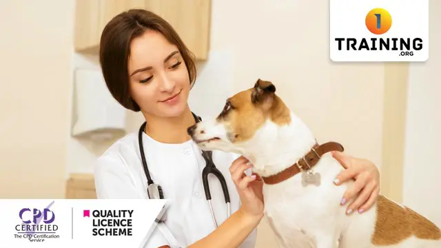 Animal Care Career Diploma