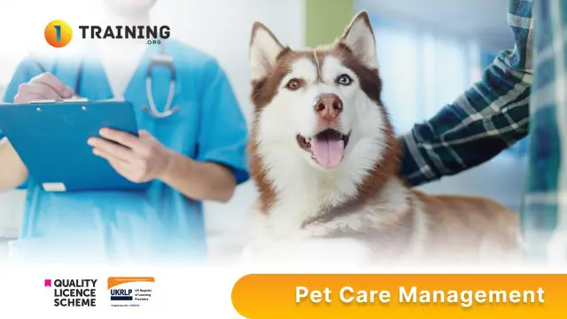 Pet Care Management Diploma