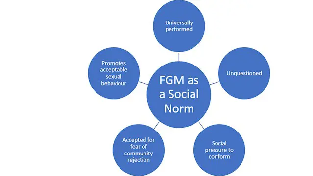 FGM Awareness CPD Course