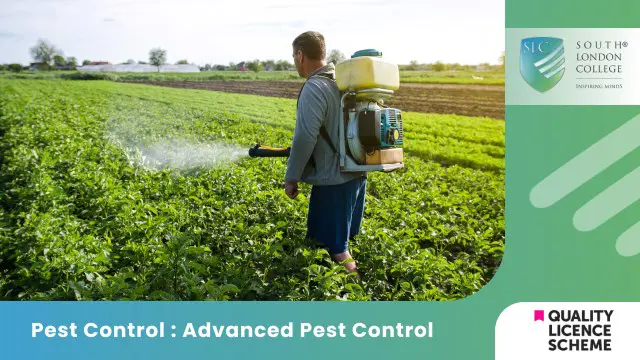Pest Control : Advanced Pest Control