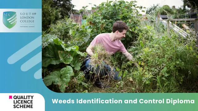 Weeds Identification and Control Diploma