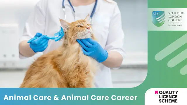 Animal Care & Animal Care Career