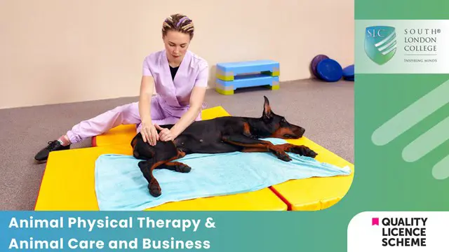 Animal Physical Therapy & Animal Care and Business