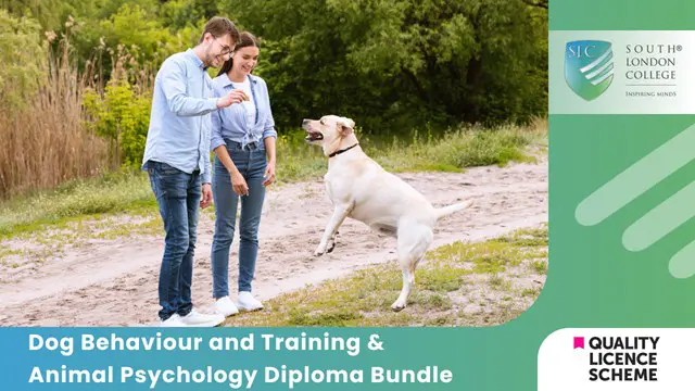 Dog Behaviour and Training & Animal Psychology Diploma Bundle 