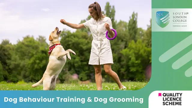 Dog Behaviour Training & Dog Grooming 