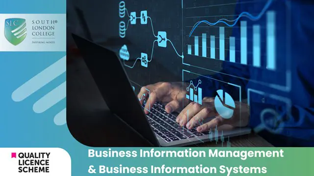 Business Information Management & Business Information Systems