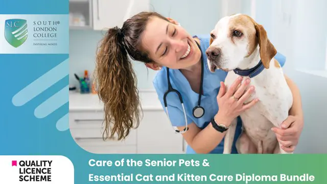 Care of the Senior Pets & Essential Cat and Kitten Care Diploma Bundle 