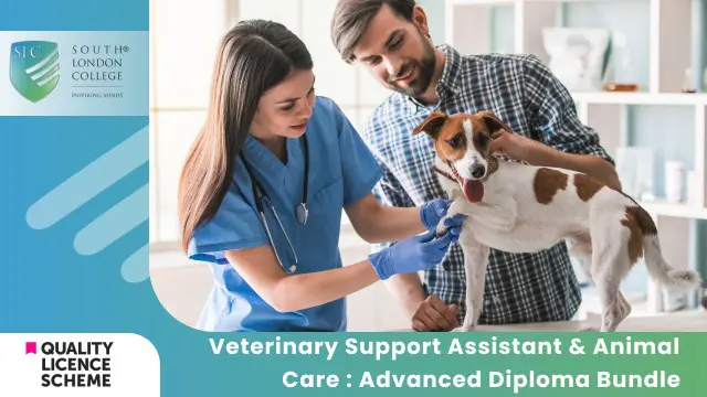 Veterinary Support Assistant & Animal Care : Advanced Diploma Bundle