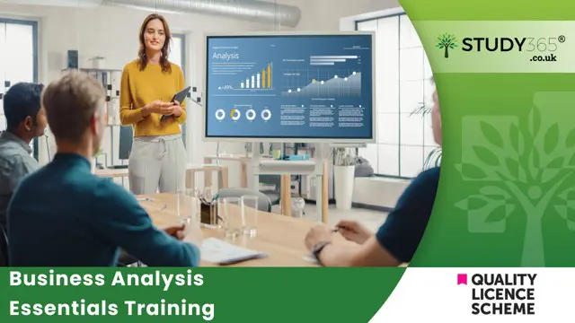 Business Analysis Essentials Training 