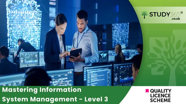 Mastering Information System Management - Level 3
