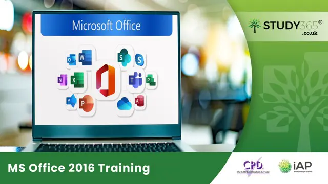 MS Office 2016 Training