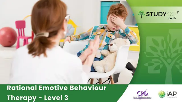 Rational Emotive Behaviour Therapy - Level 3
