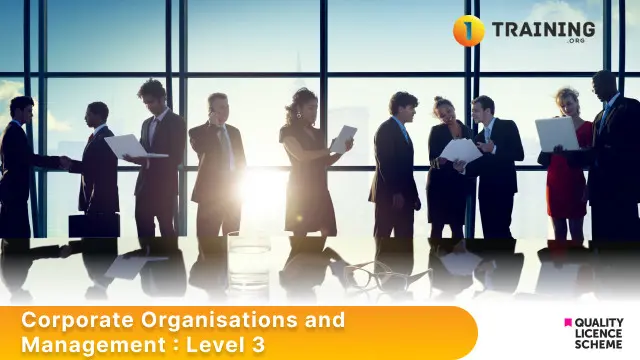 Corporate Organisations and Management : Level 3