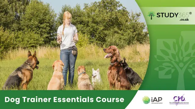 Dog Trainer Essentials Course 
