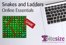Online Essentials logo - snakes and ladders