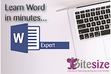 MS Word logo - expert