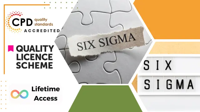 Six Sigma : Lean Six Sigma