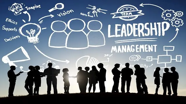 Leadership & Management: Leadership & Management
