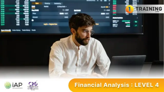 Financial Analysis : LEVEL 4