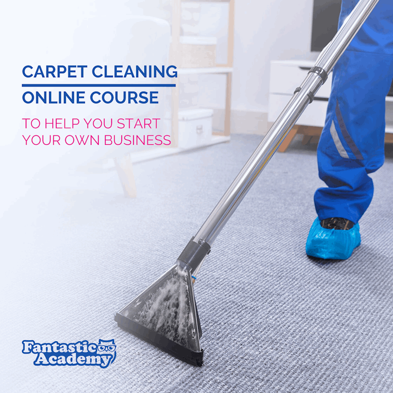 Online Carpet Cleaning Business Course reed.co.uk