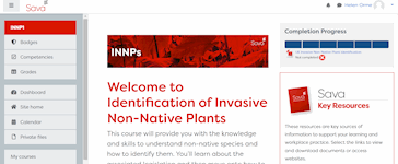 Identifying Invasive Non-Native Plants
