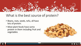 Nutrition-Protein