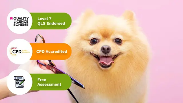Level 7 Diploma in Dog Grooming (QLS Endorsed)