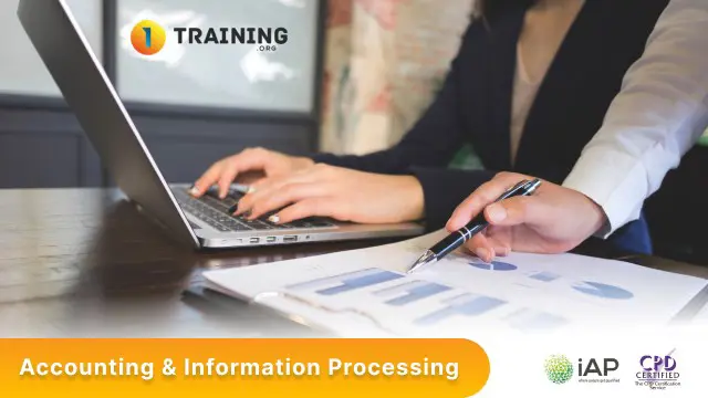 Accounting & Information Processing 