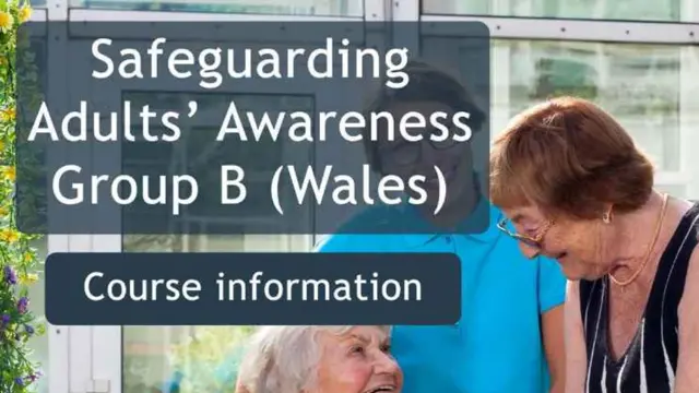 Safeguarding Adults Group B Wales - CPD Certified