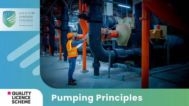 Pumping Principles Diploma : Level 04