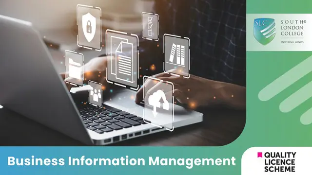 Business Information Management Diploma