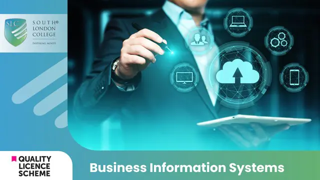 Business Information Systems Diploma