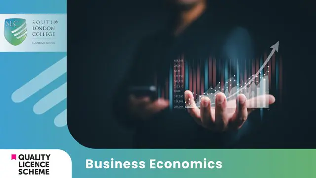 Business Economics Diploma