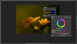 Online Affinity Photo Beginners Recolour