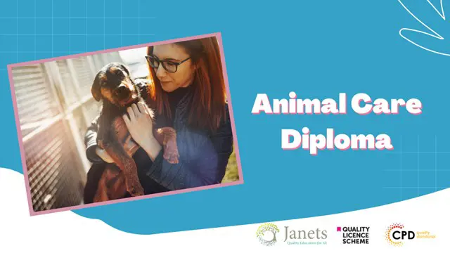 Animal Care Diploma Training
