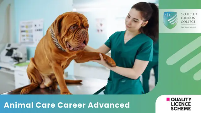 Animal Care Career Advanced 