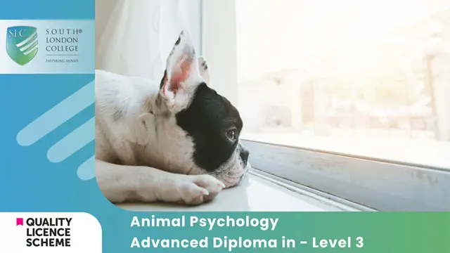 Animal Psychology Advanced Diploma in - Level 3