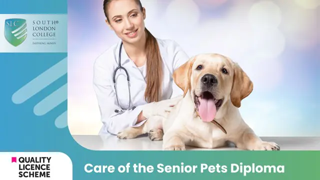 Care of the Senior Pets Diploma