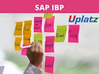 SAP IBP Course 