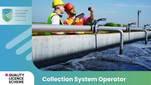 Collection System Operator Diploma