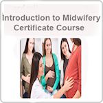 Introduction to Midwifery Certificate Course